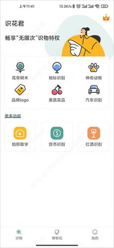 识花