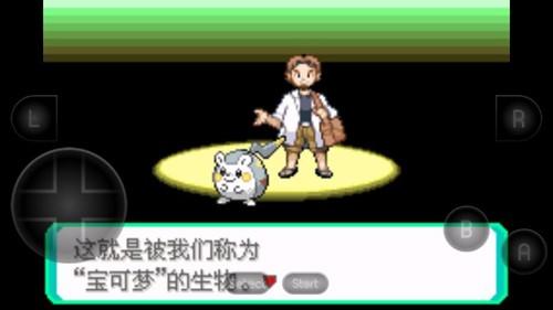 口袋妖怪究极智娜