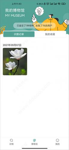 识花