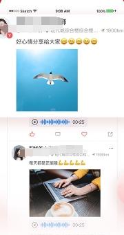 国聘行动