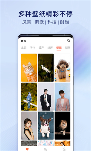 VIVO主题商店最新版