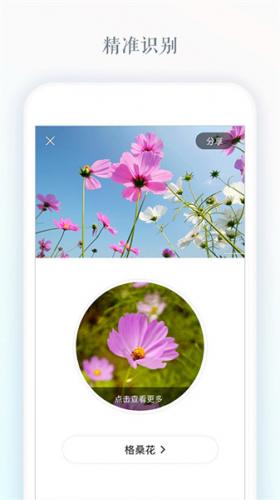 识花