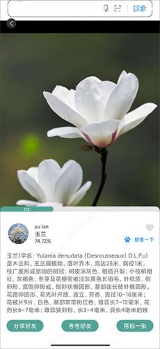 识花