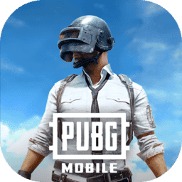 pubg国际服4.3