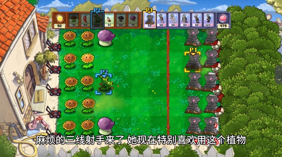 植物大战僵尸双人联机版