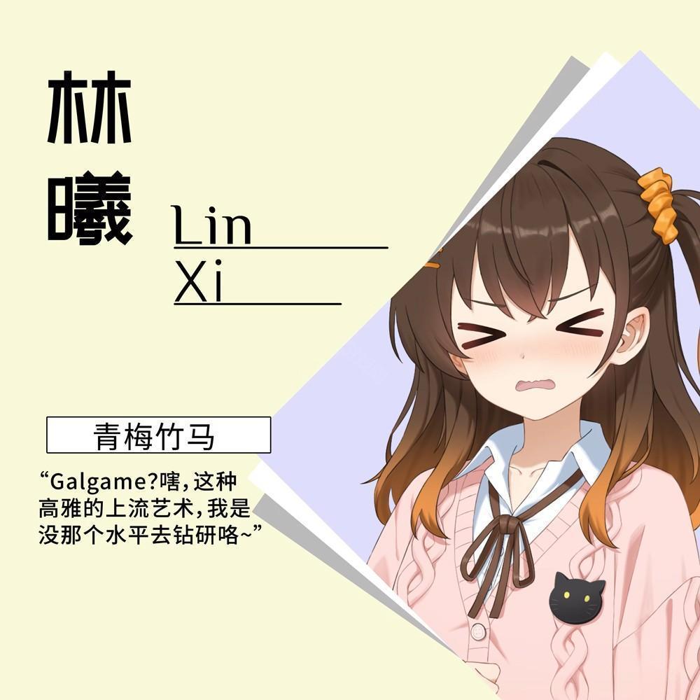 想成为Galgame领域大神冷狐直装
