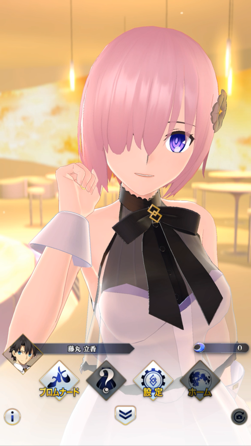 FGO Waltz中文版