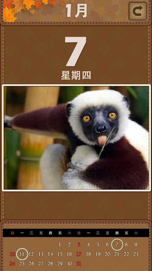 萌宠日历2020(Animal Puzzle)