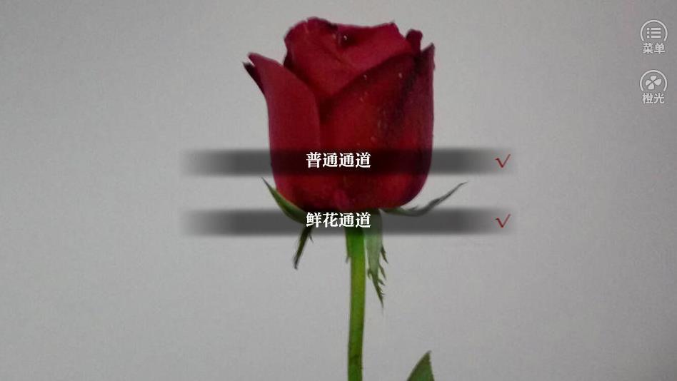 橙光虐恋深情