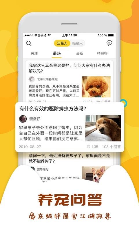 爱宠大陆界面展示