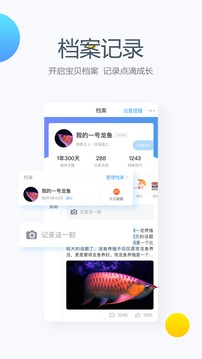 龙巅论坛