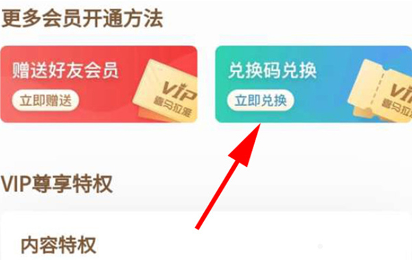 VIP兑换码使用界面示意图