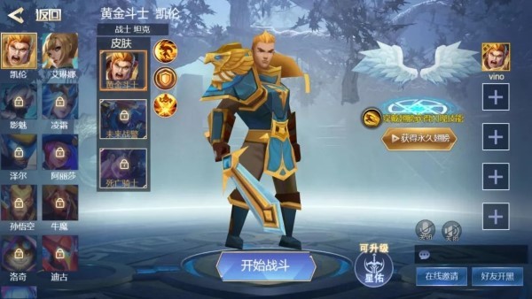 王者精英5V521