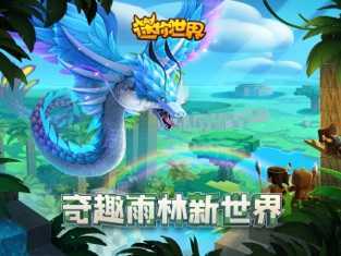 九岁辅助