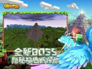 九岁辅助
