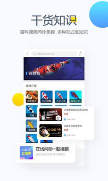 龙巅论坛