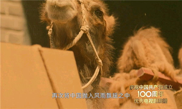 西门影视TV版