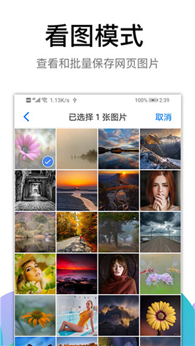 黑狮浏览器(BL)