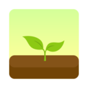 Forest专注森林免费版
