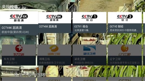 我的电视tv最新版