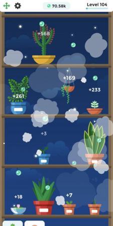 Terrarium