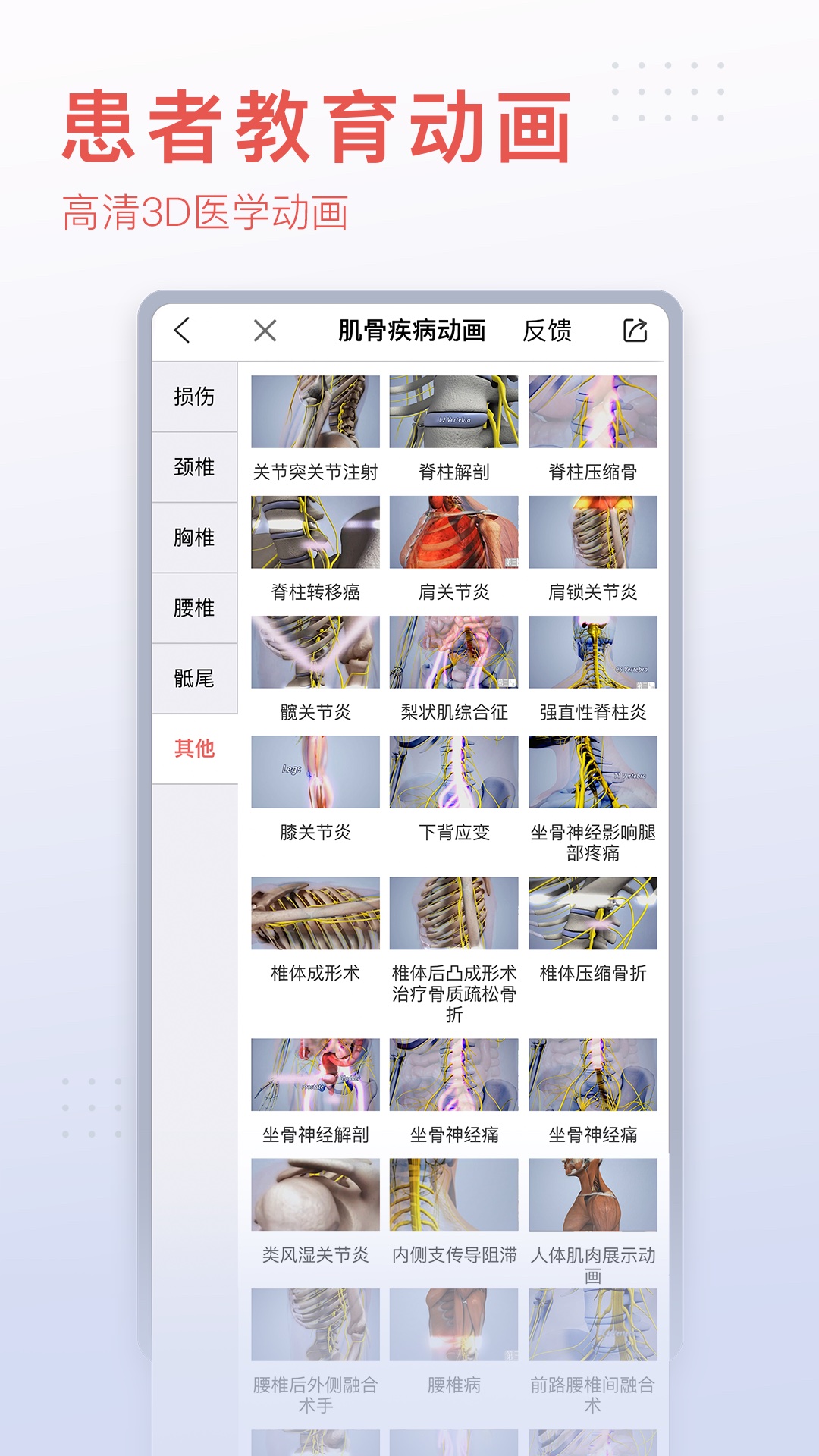 3Dbody解剖