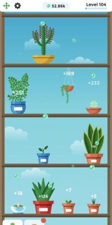 Terrarium
