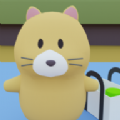 Cat Trip