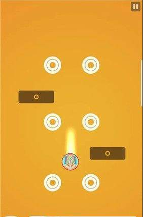 pucks hole
