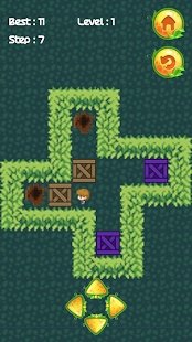 Push Box Garden
