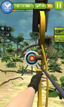 3D射箭大师 Archery Master 3Dv1.3