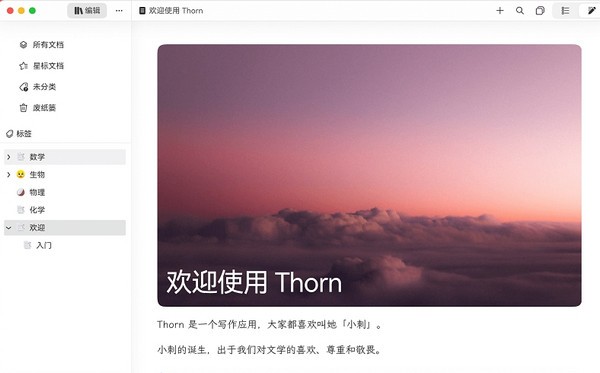 Thorn写作 v0.1.39免费版