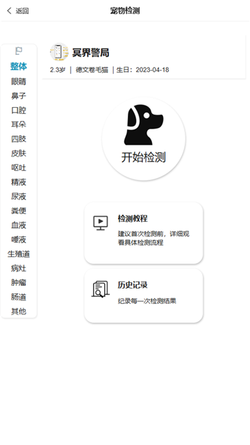 了不起的派特萌