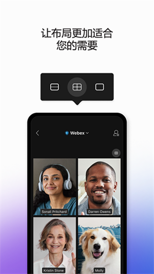 Webex Meet