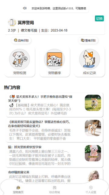 了不起的派特萌
