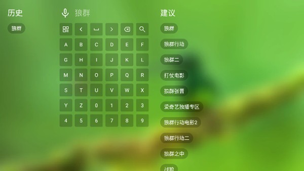 TVBoxFongMi版