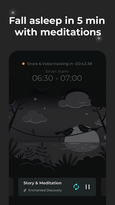 Sleep Booster