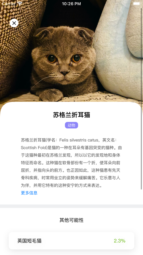 拍照识物 ios版