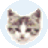 EFFileCatalog v2021.11试用版