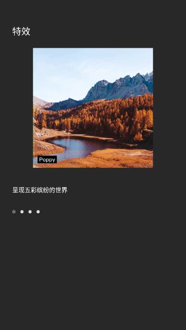 Fotor（图片编辑器）高级版 6.5.1.1110汉化版
