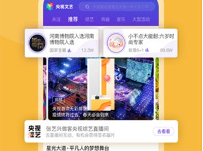 央视文艺