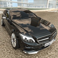 Open World Car Simulator Games ios版