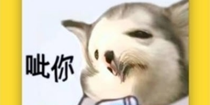 呆鱼表情包制作界面示例
