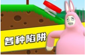 疯狂兔子人