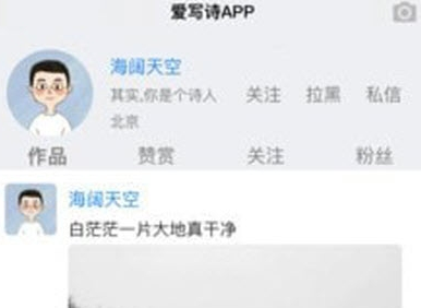 爱写诗