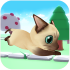Cat Run(小猫咪酷跑破解版) 1.1.9安卓版