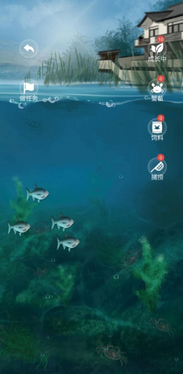 畅销巴巴