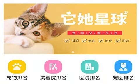 它她星球