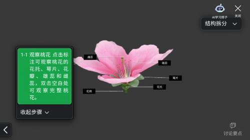 nb实验室教师端