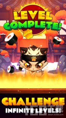 空手道猫咪